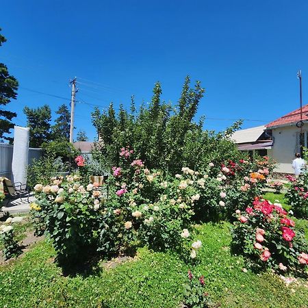 Hostel In The Centre Of Karakol Gebze Exterior photo