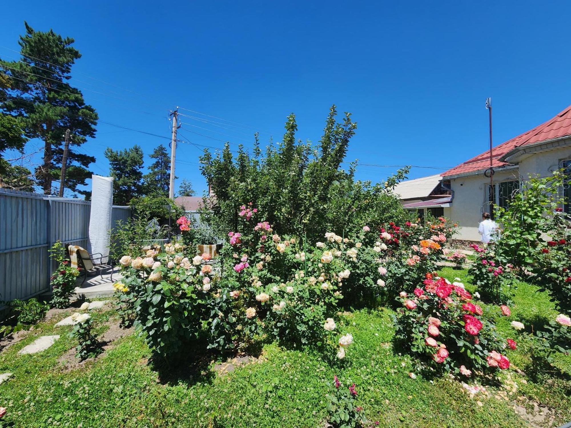 Hostel In The Centre Of Karakol Gebze Exterior photo